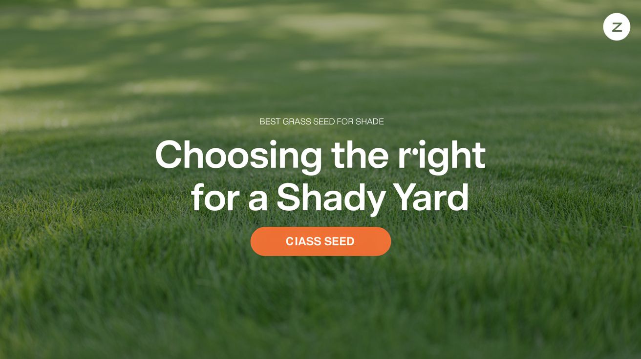 Choosing the Right Grass Seed for a Shady Yard