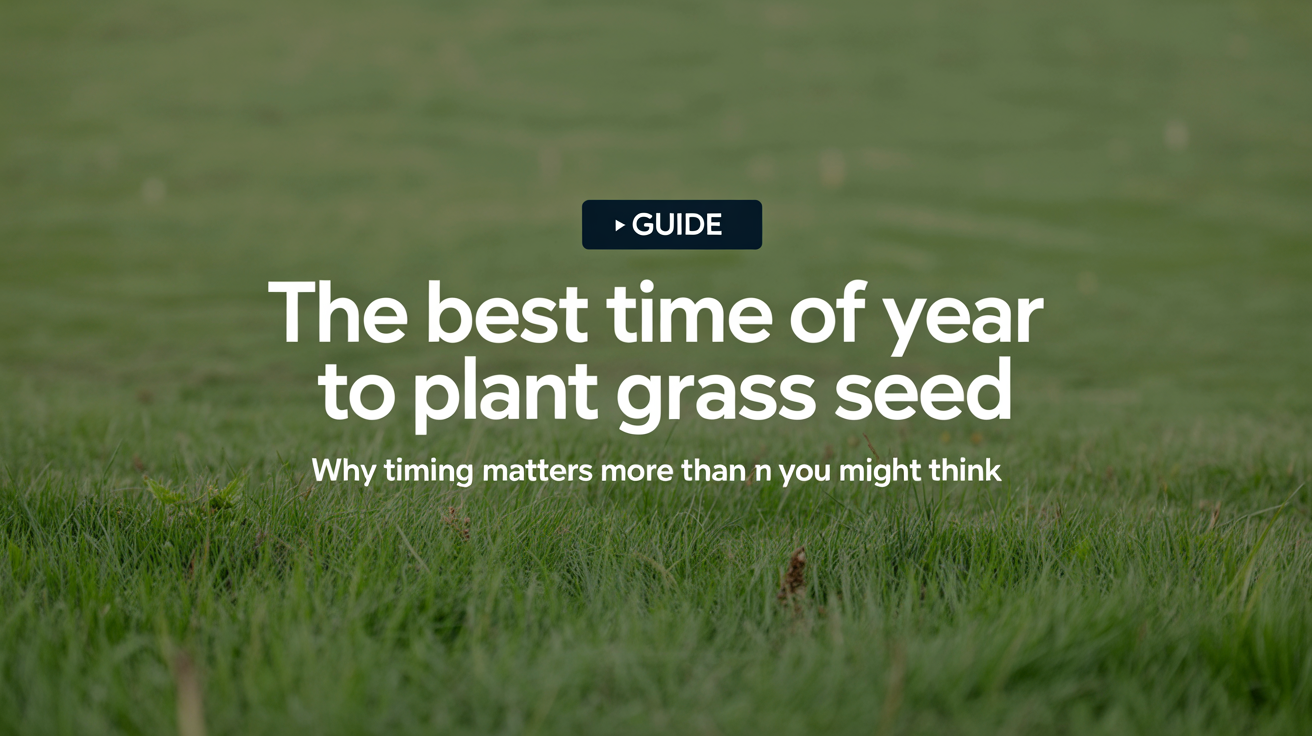 Why Timing Matters More Than You Might Think